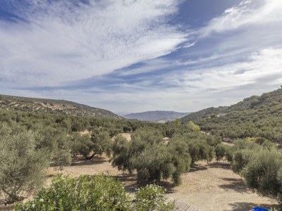 Villa Casa Olivo - Environment photo 46