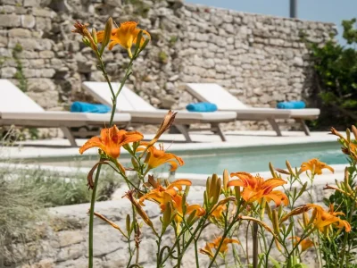 Villa Antiqua in Osor, islands of Cres - Environment photo 24