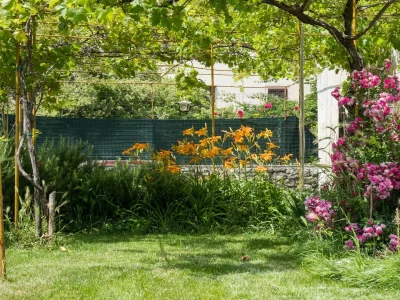 Villa Antiqua in Osor, islands of Cres - Environment photo 38