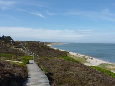 Holiday apartment Maiken Feikes, "Am Friedrichshain" - Environment photo 11