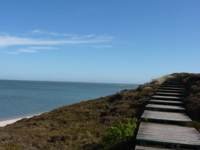 Holiday apartment Maiken Feikes, "Am Friedrichshain" - Environment photo 12