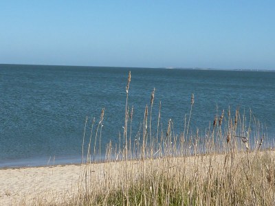 Holiday apartment Maiken Feikes, "Am Friedrichshain" - Environment photo 13