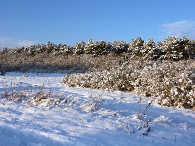 Holiday apartment Maiken Feikes, "Am Friedrichshain" - Environment photo 14