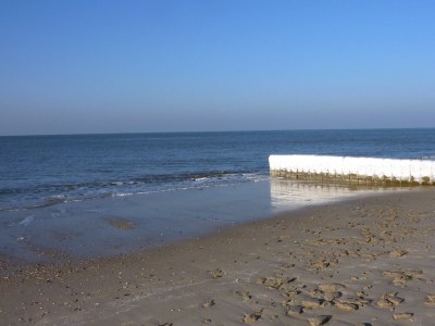 Holiday apartment Maiken Feikes, "Am Friedrichshain" - Environment photo 15