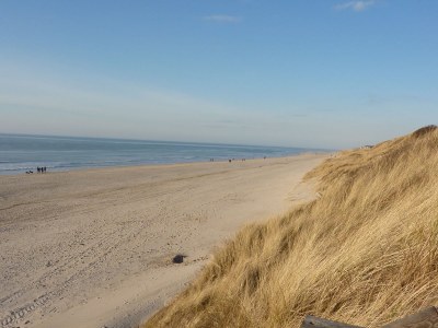 Holiday apartment Maiken Feikes, "Am Friedrichshain" - Environment photo 17
