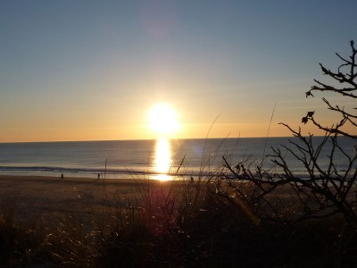 Holiday apartment Maiken Feikes, "Am Friedrichshain" - Environment photo 18