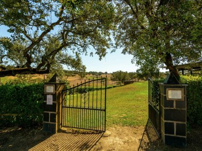 Holiday park Ferienhaus in Tajo mit Pool und Wald - Outdoor photo 7