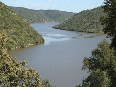 Holiday park Ferienhaus in Tajo mit Pool und Wald - Environment photo 32