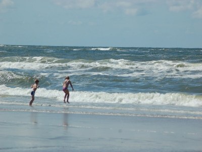 Holiday park Bungalow in Texel near Beaches - Environment photo 20