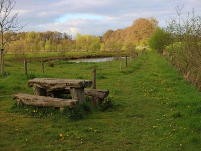 Holiday park Modern Countryside Escape - Environment photo 9