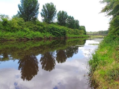 Holiday park Modern Countryside Escape - Environment photo 21