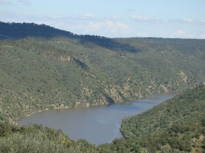 Holiday park Ferienhaus in Herrera am Fluss Tajo - Environment photo 34