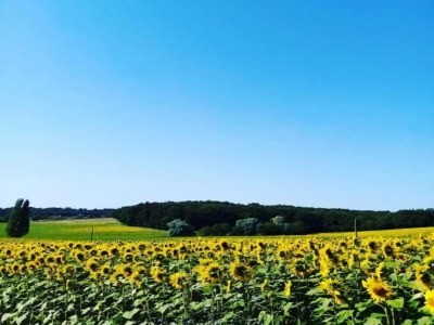 Holiday park Schlosswohnung in Chaleix Waldnähe - Environment photo 15