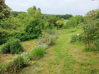 Holiday park Schlosswohnung in Chaleix Waldnähe - Environment photo 23