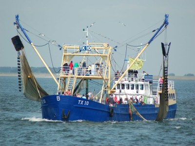 Holiday park Wohnung auf Texel nahe De Koog Zentrum - Environment photo 17