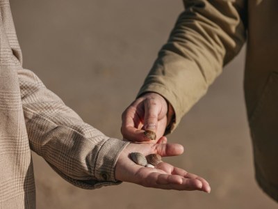 Holiday park Wohnung auf Texel nahe De Koog Zentrum - Environment photo 20