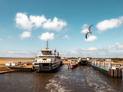 Holiday park Wohnung auf Texel nahe De Koog Zentrum - Environment photo 32