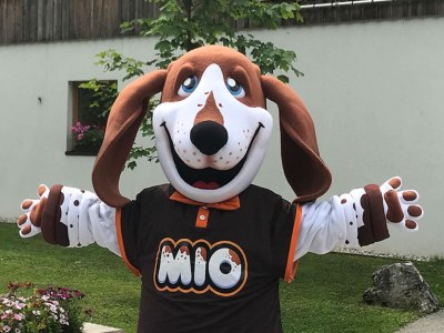 Holiday park Sauna, Garden & Indoor Pool - Outdoor photo 21