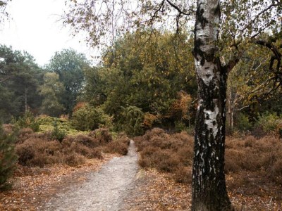 Holiday park Villa mit Sprudelbad - Environment photo 8