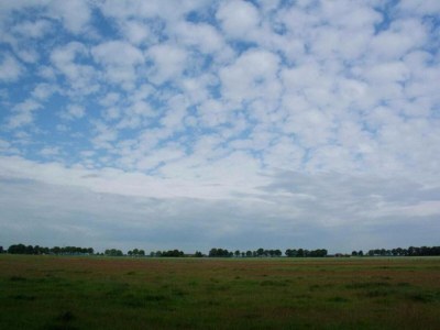 Holiday park Villa mit Sprudelbad - Environment photo 16