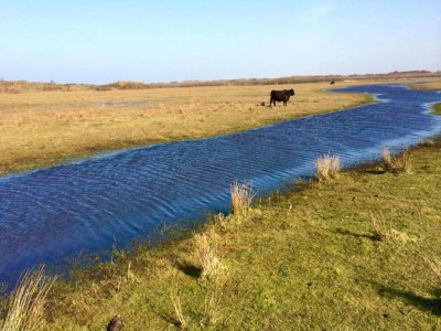 Holiday park Villa in Texel near De Koog Beach - Environment photo 22