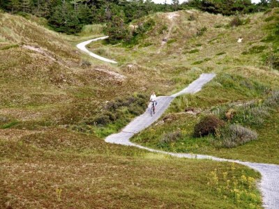 Holiday park Villa in Texel near De Koog Beach - Environment photo 28