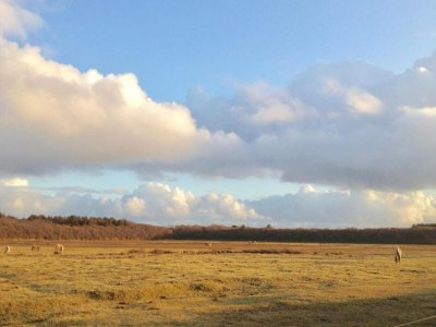 Holiday park Villa in Texel near De Koog Beach - Environment photo 33