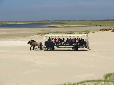 Holiday park Villa in Texel near De Koog Beach - Environment photo 36