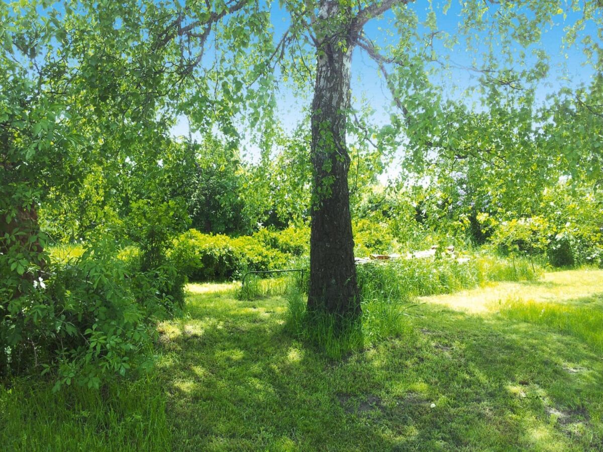 Holiday park XXL Ferienhaus mit Sauna in Upost - Outdoor photo 3