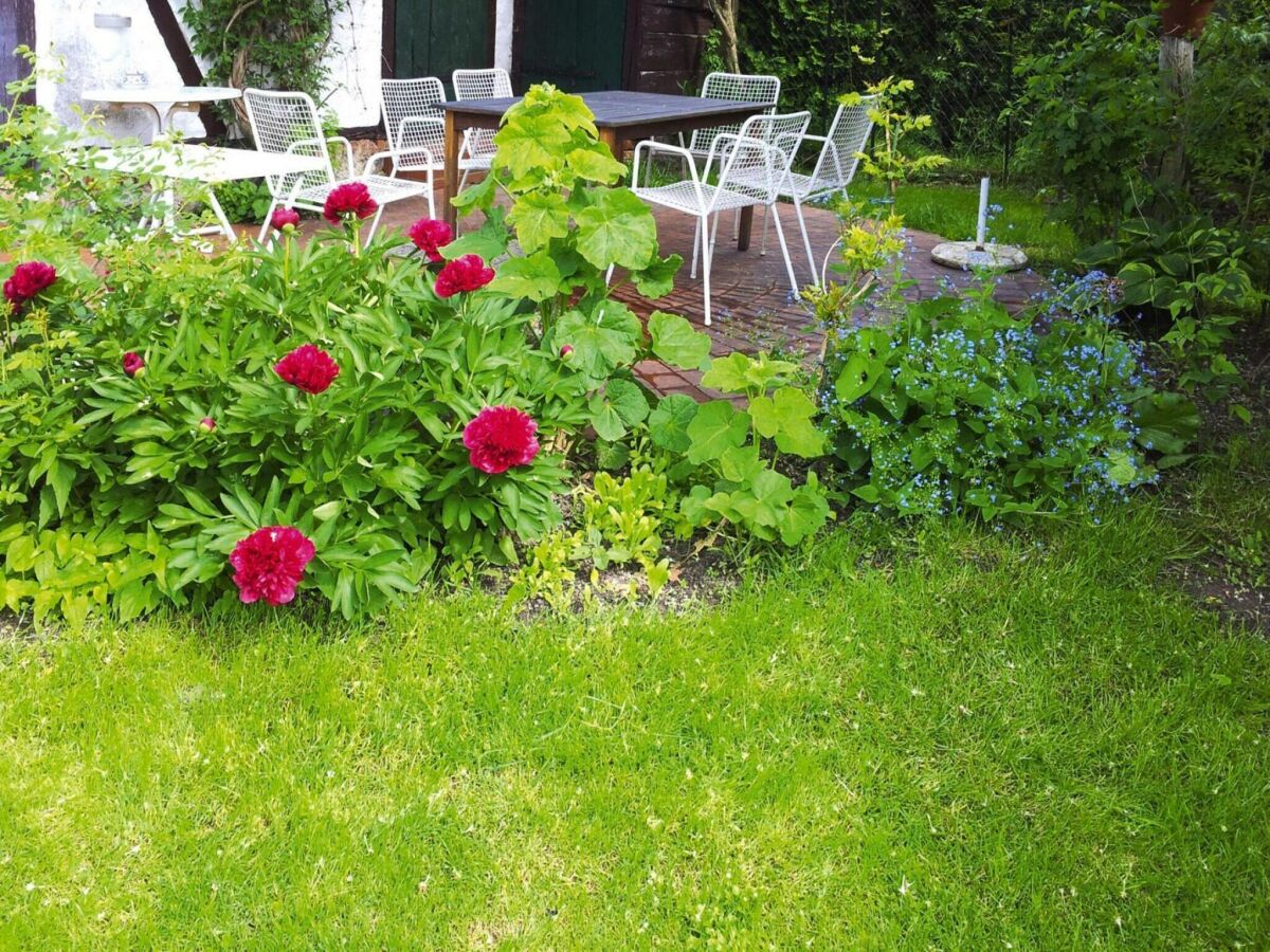 Holiday park XXL Ferienhaus mit Sauna in Upost - Outdoor photo 4