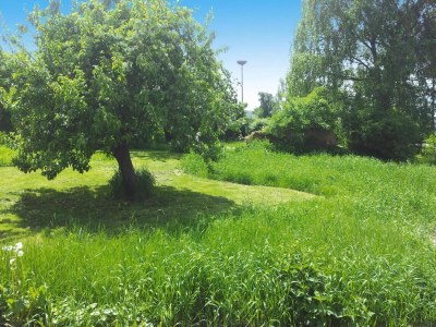 Holiday park XXL Ferienhaus mit Sauna in Upost - Outdoor photo 6