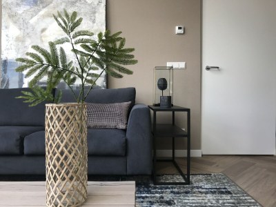 Holiday park Villa near Texel Beach with Private Sauna - Features photo 15