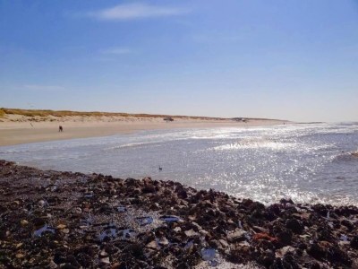 Holiday park Villa near Texel Beach with Private Sauna - Environment photo 18