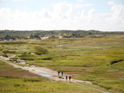 Holiday park Villa near Texel Beach with Private Sauna - Environment photo 20