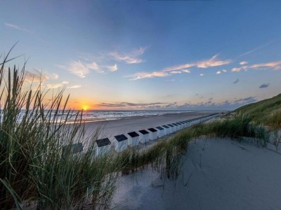 Holiday park Villa near Texel Beach with Private Sauna - Environment photo 21