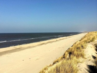 Holiday park Villa near Texel Beach with Private Sauna - Environment photo 29