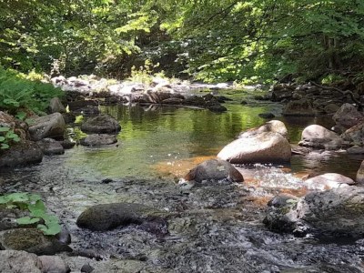 Holiday park Ferienhaus in Schierke for 6 Personen - Environment photo 22