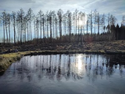 Holiday park Ferienhaus in Schierke for 6 Personen - Environment photo 26