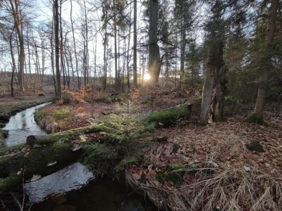 Holiday park Ferienhaus in Schierke for 6 Personen - Environment photo 27