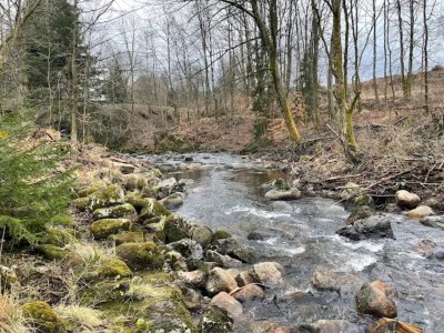 Holiday park Ferienhaus in Schierke for 6 Personen - Environment photo 28