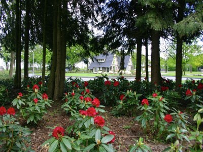 Holiday park Entspannender Sauna-Villa-Rückzugsort - Environment photo 19