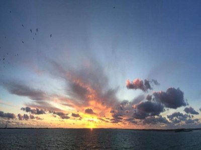 Holiday park Villa auf Texel mit Sauna für 8 Von Belvilla - Environment photo 24