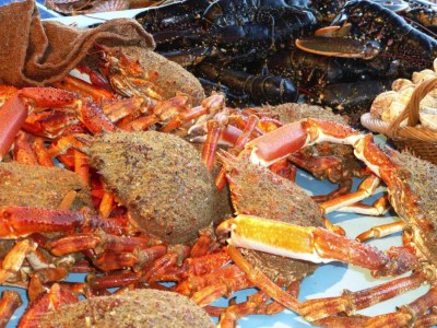 Holiday park Ferienhaus in Le Guilvinec am Sandstrand - Environment photo 19