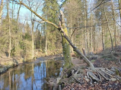 Holiday park Ferienhaus in Schierke für 8 Personen - Environment photo 25