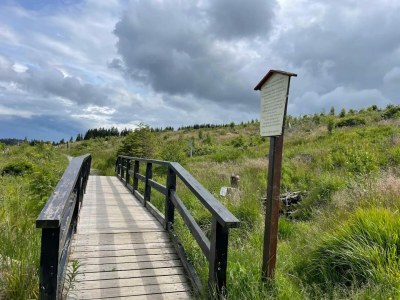 Holiday park Ferienhaus in Schierke für 8 Personen - Environment photo 26