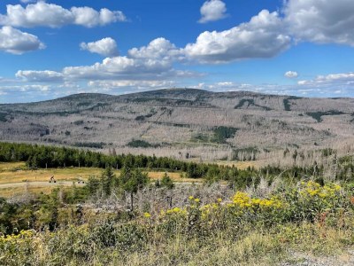 Holiday park Ferienhaus in Schierke für 8 Personen - Environment photo 27