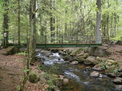Holiday park Ferienhaus in Schierke für 8 Personen - Environment photo 29