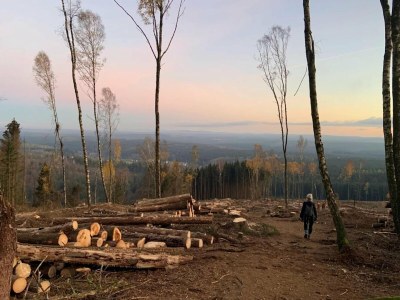 Holiday park Ferienhaus in Schierke für 8 Personen - Environment photo 30