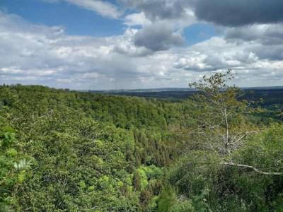 Holiday park Ferienhaus in Schierke für 8 Personen - Environment photo 31