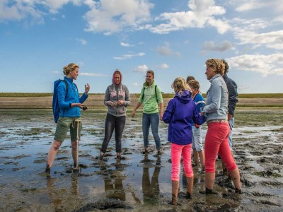 Holiday park Villa in De Koog nahe Texel Strand - Environment photo 22